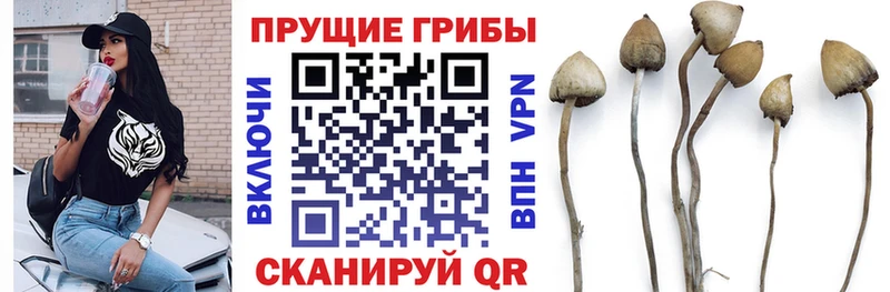 hydra маркетплейс  Славянск-на-Кубани  Галлюциногенные грибы MAGIC MUSHROOMS 