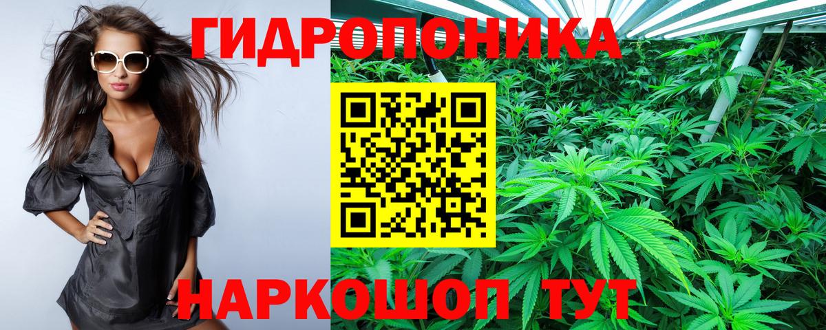 Канабис Ganja Славянск-на-Кубани